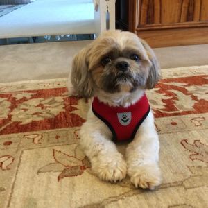 Meet your Posher, Ana